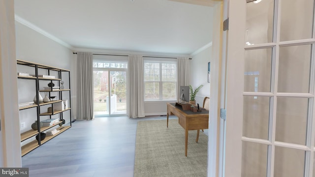 doorway with ornamental molding and light wood finished floors