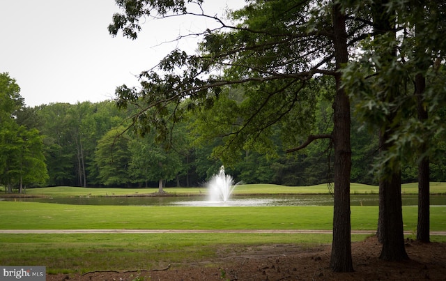 view of home's community with a yard and a water view