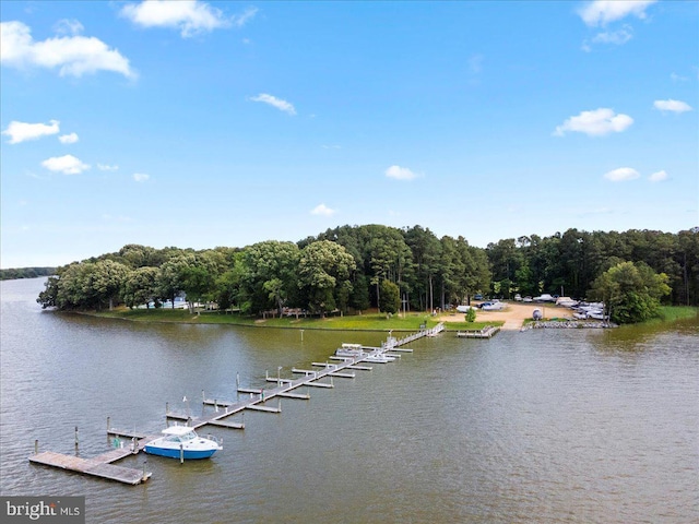 property view of water with a dock and a wooded view