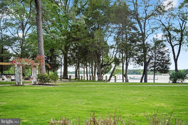 surrounding community with a water view and a lawn