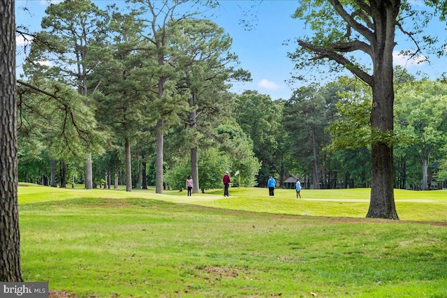 view of community with a lawn