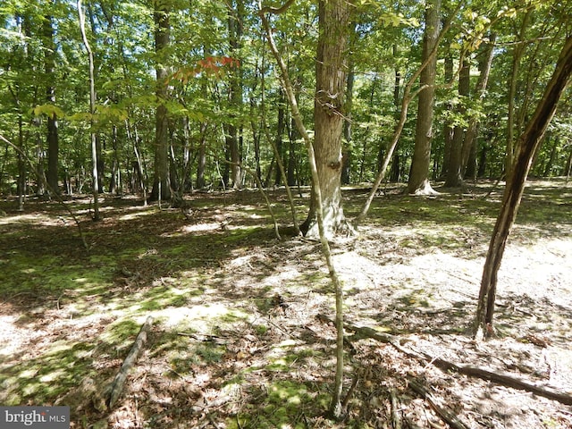 Sideling Mountain Trail, Great Cacapon WV, 25422 land for sale