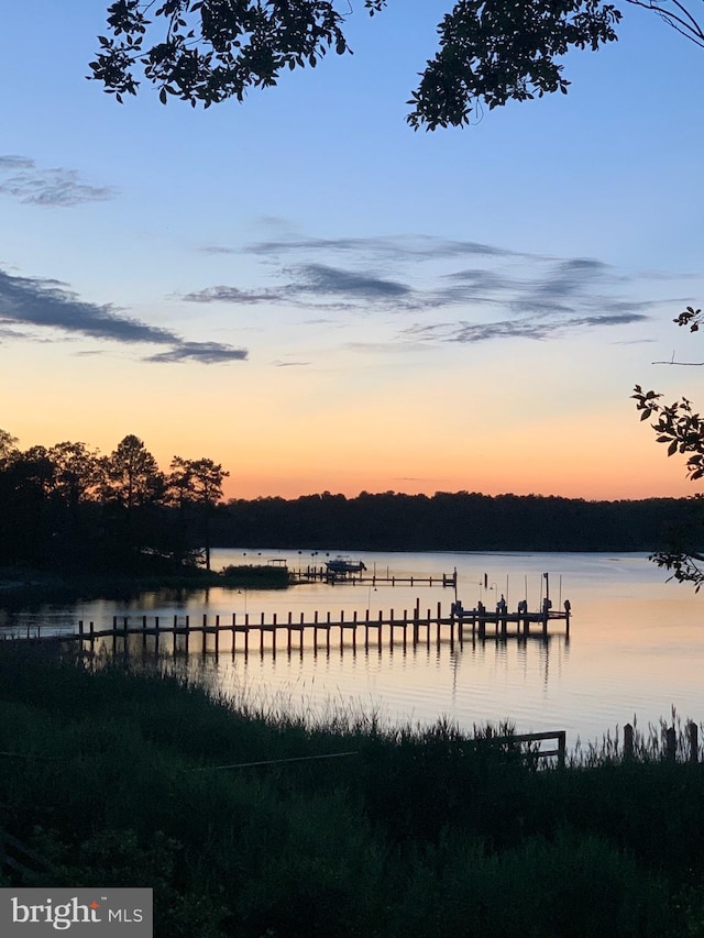 property view of water with a boat dock