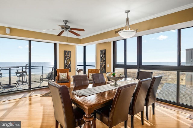 dining room featuring a beach view, a water view, light hardwood / wood-style flooring, ornamental molding, and ceiling fan