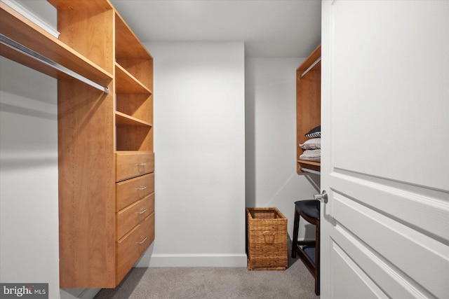 walk in closet featuring light colored carpet