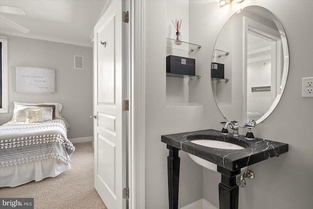 bathroom featuring sink and crown molding