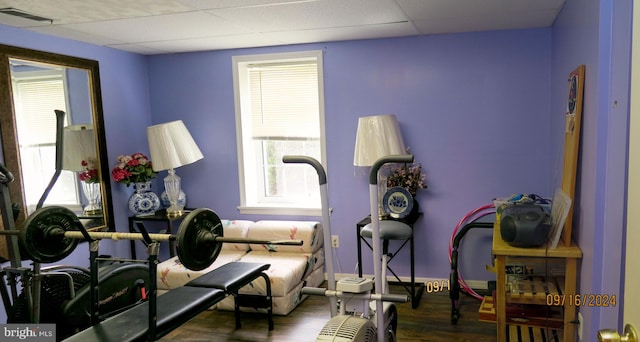 exercise room with dark hardwood / wood-style floors and a drop ceiling