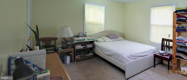 view of carpeted bedroom