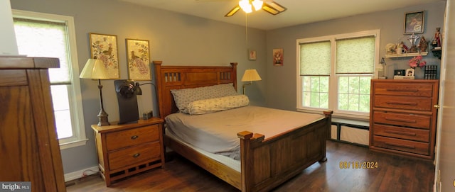 bedroom featuring ceiling fan and dark wood-type flooring