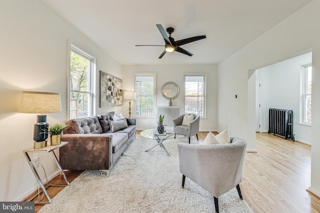 living room featuring light hardwood / wood-style flooring, ceiling fan, and radiator