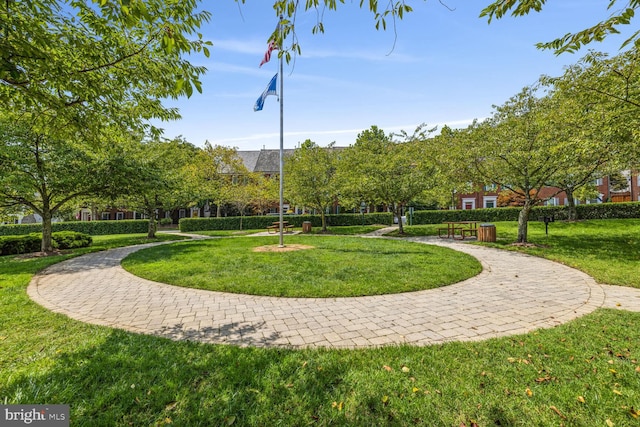 view of home's community with a lawn