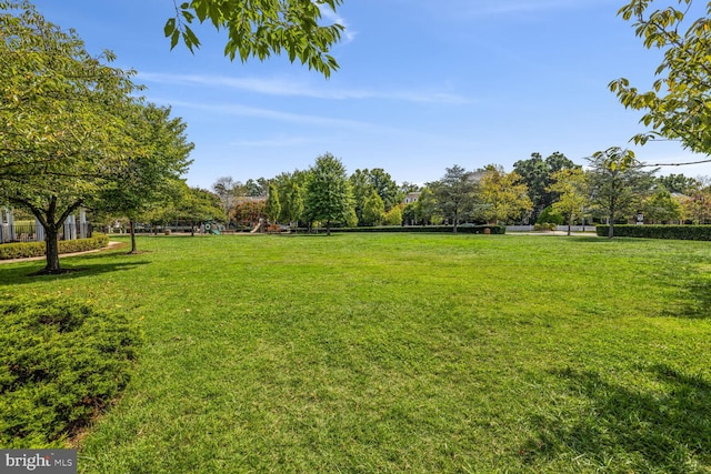 view of yard