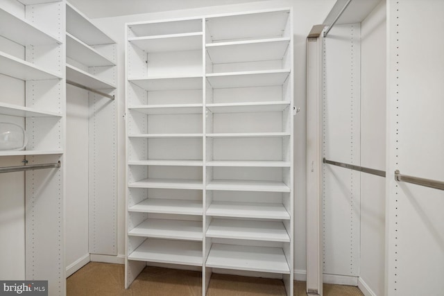 spacious closet with carpet floors