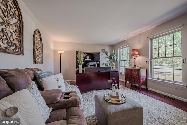 living room featuring wood-type flooring