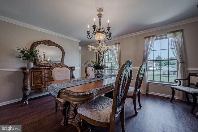 dining space featuring a notable chandelier, crown molding, and dark hardwood / wood-style flooring