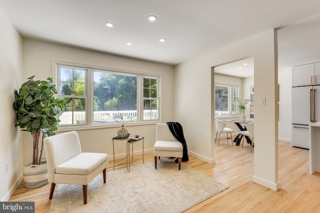 living area featuring light wood-type flooring