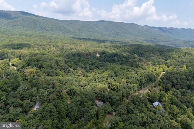 view of mountain feature