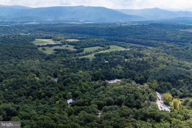 birds eye view of property featuring a mountain view