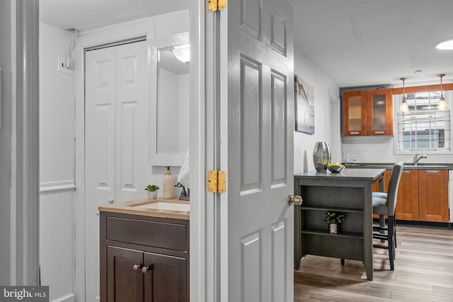 interior space featuring light hardwood / wood-style flooring, pendant lighting, sink, and tasteful backsplash