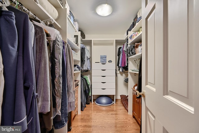 spacious closet with light wood-type flooring