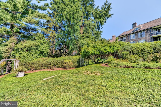 view of yard featuring a balcony