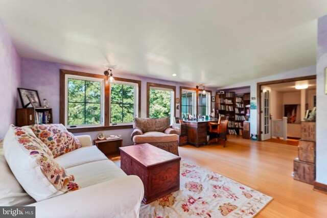 living room featuring light wood-type flooring