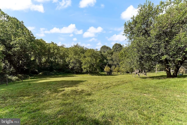 view of yard with a wooded view and a rural view