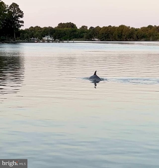 water view