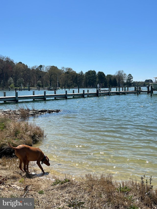 property view of water with a dock