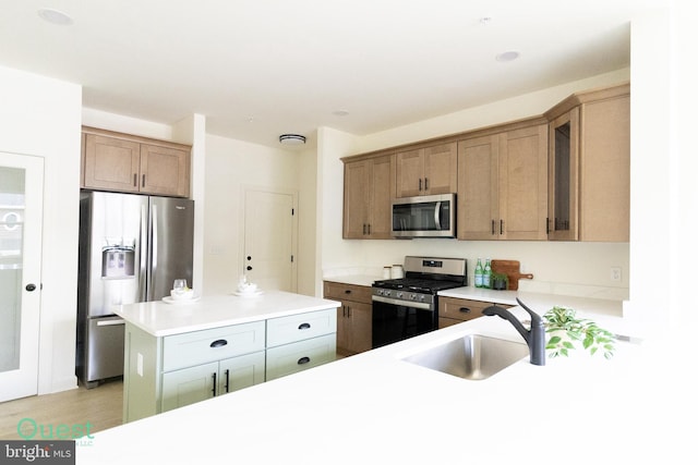 kitchen featuring light wood-type flooring, stainless steel appliances, and sink