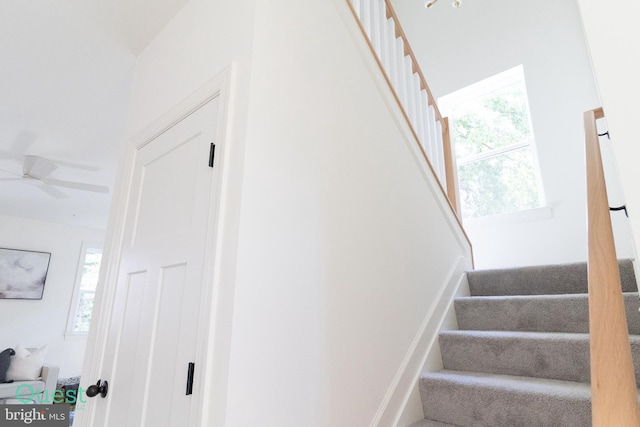 staircase featuring ceiling fan