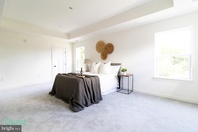 bedroom featuring light carpet and a raised ceiling