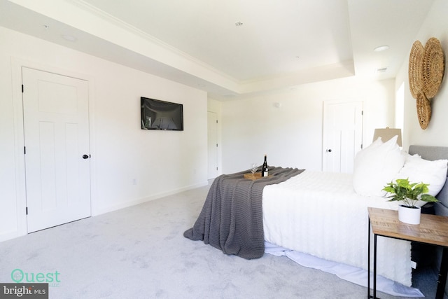 bedroom with a raised ceiling and carpet