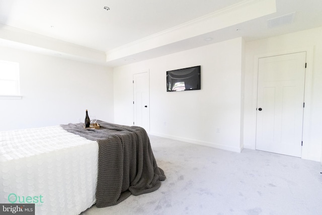 bedroom featuring a raised ceiling and carpet flooring