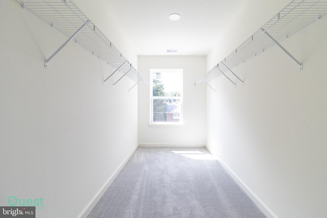 spacious closet with carpet floors