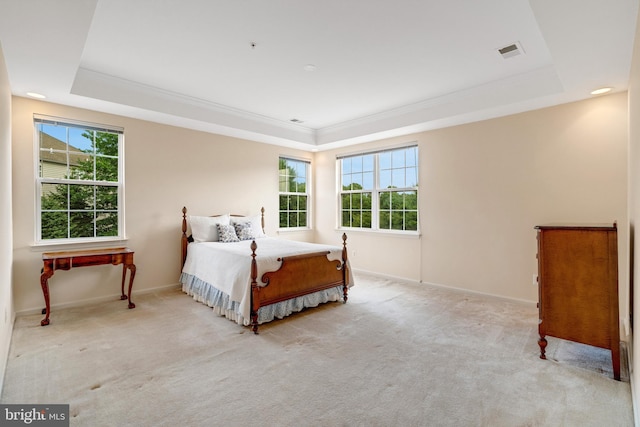 carpeted bedroom with multiple windows and a raised ceiling