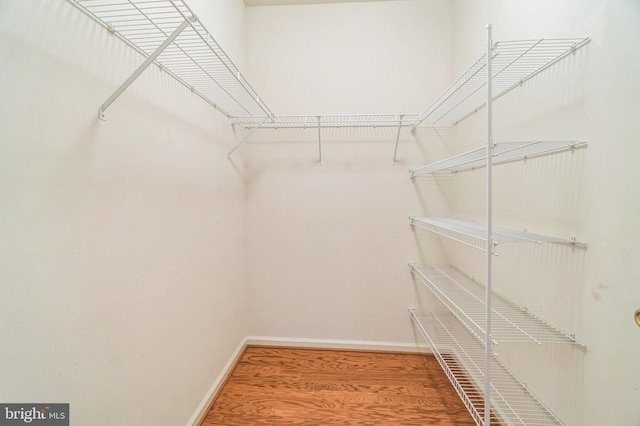 spacious closet featuring hardwood / wood-style floors