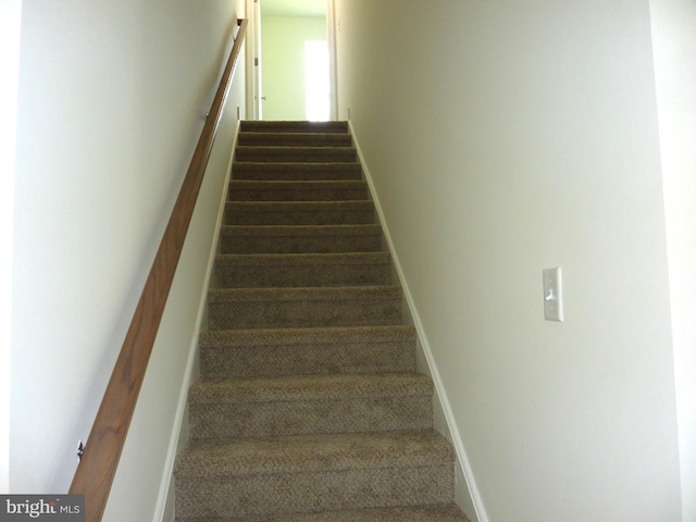 stairs featuring baseboards and carpet flooring