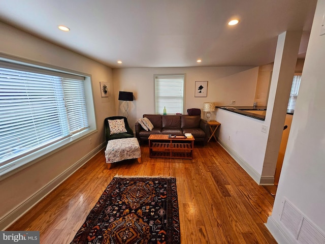 living room featuring hardwood / wood-style floors