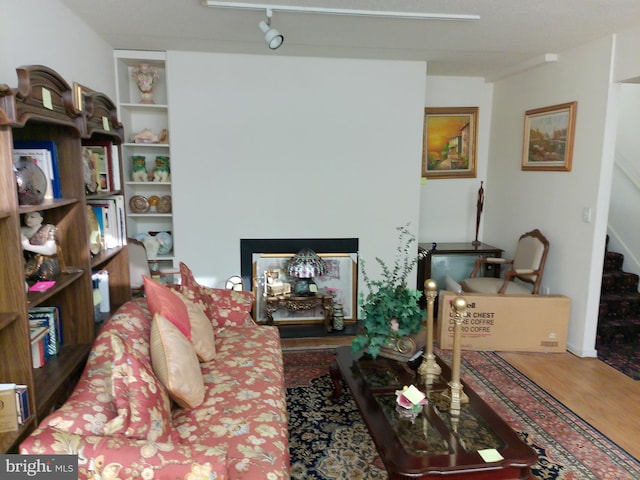 living room with wood-type flooring, rail lighting, and a multi sided fireplace