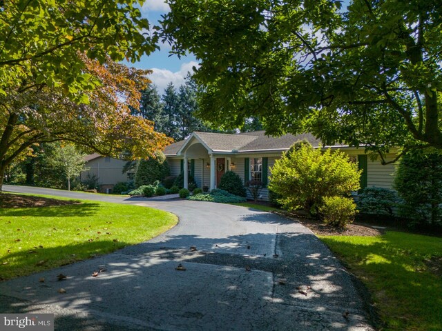 view of front facade with a front yard