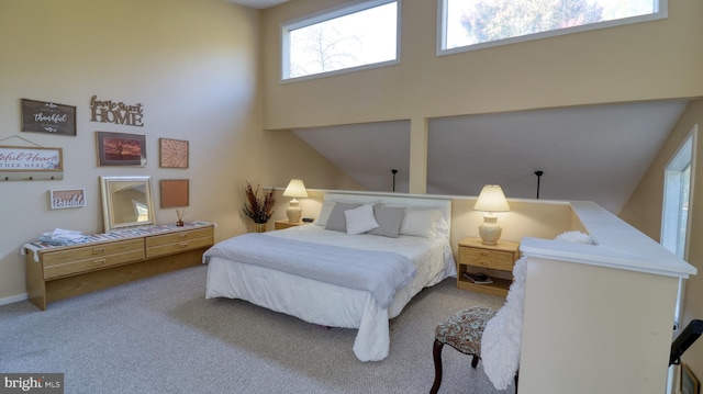 carpeted bedroom with multiple windows and a high ceiling