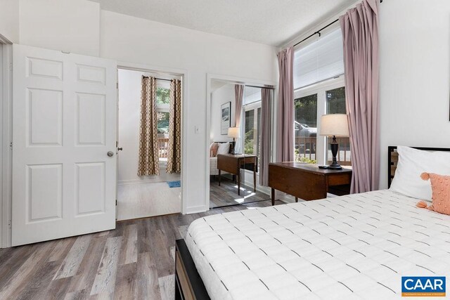 bedroom featuring multiple windows and light hardwood / wood-style flooring