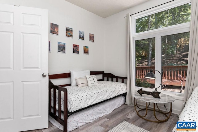 bedroom with hardwood / wood-style floors