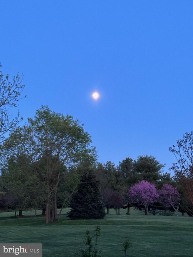 view of yard at dusk