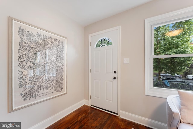 foyer featuring dark wood-type flooring