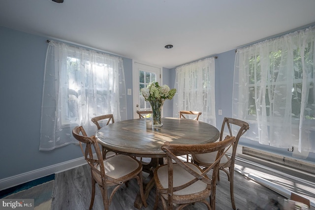 dining room featuring dark wood-type flooring