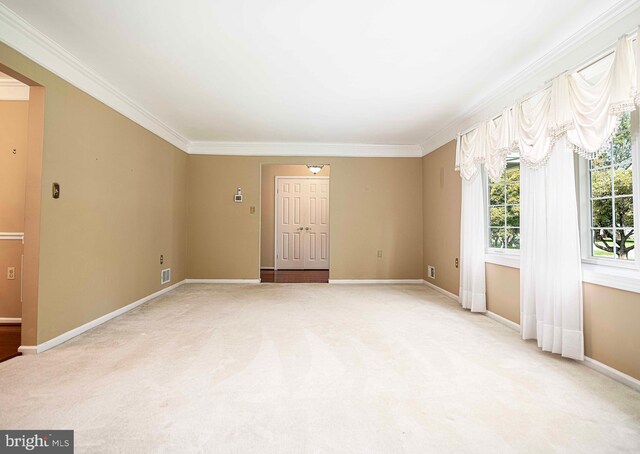 carpeted empty room featuring ornamental molding