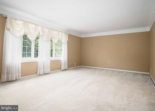 carpeted spare room featuring ornamental molding