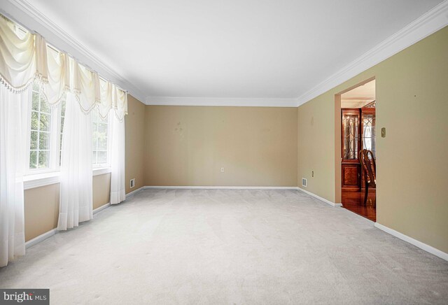 spare room featuring crown molding and light carpet